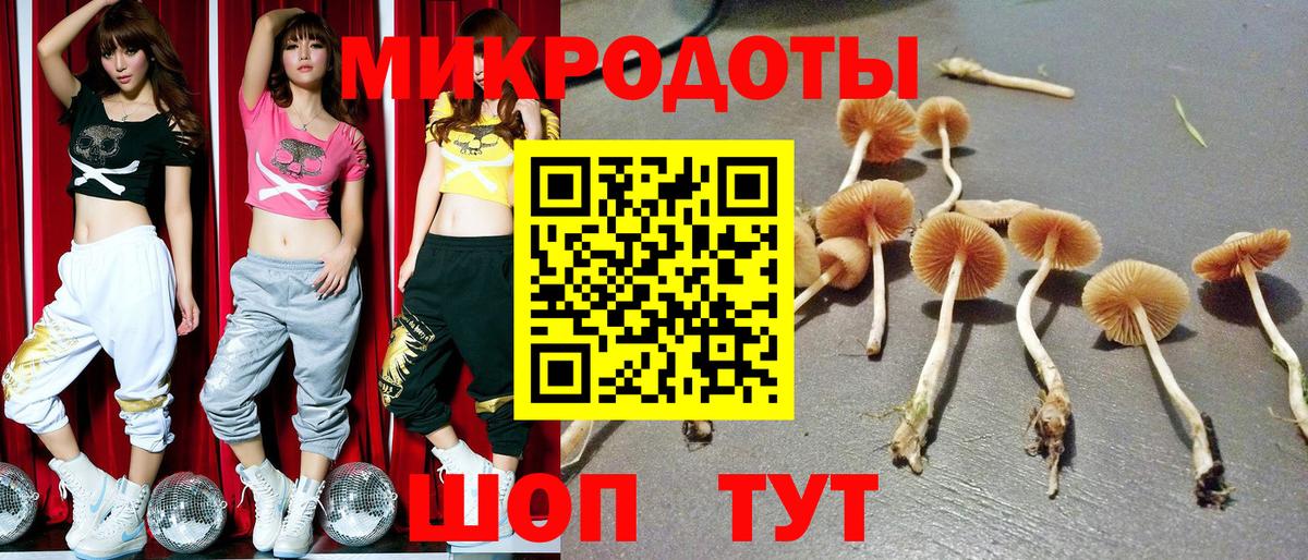 Псилоцибиновые грибы Psilocybine cubensis Большой Камень